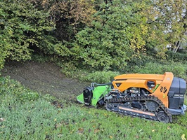 Mähraupe, MDB LV600, Geräteträger, Mulcher, Hangmähen, Steilhangmähen