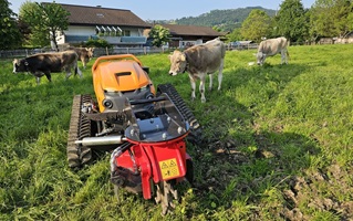 Mähraupe, MDB LV600, Wurzelstockfräsen