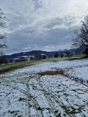 Landschaft, Bäume, Schnee, Wurzelstock, Holzspäne, Fahrspuren